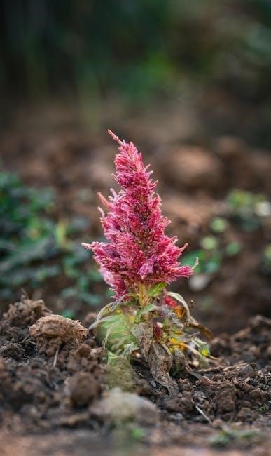 national electric code pdf 2017 free download